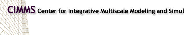 Welcome to the Center for Integrative Multiscals Modeling and Simulation