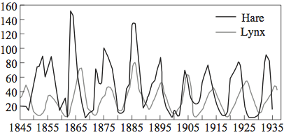 Predprey-graph.png